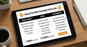 Malatya Web Tasarım Fiyatları